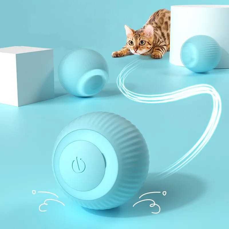 Pelota Para Mascotas